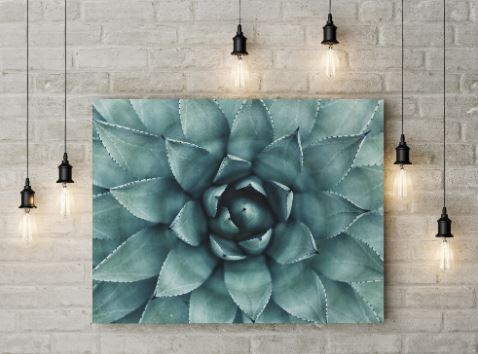flora-and-flowers-canvas